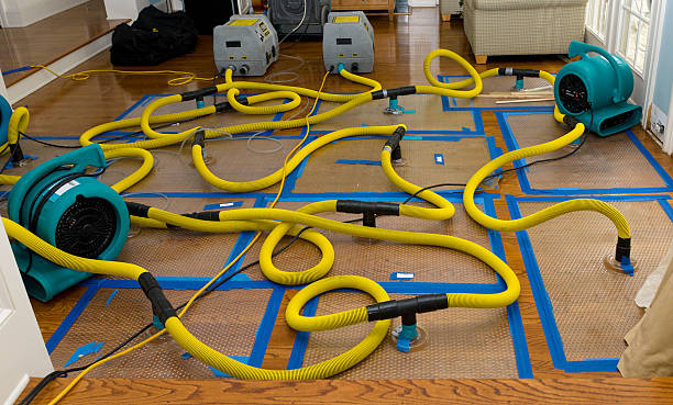 Professional Water Damage Repair technician working in Brush Creek, TN